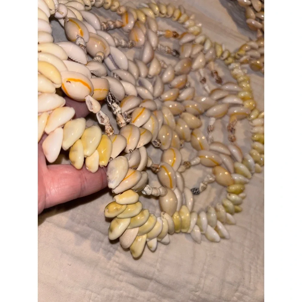 Clearwater handcrafted cowrie